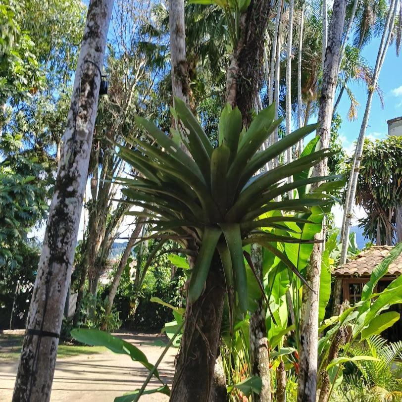 Villa Dos Passaros Paraty Hospedagem Екстериор снимка